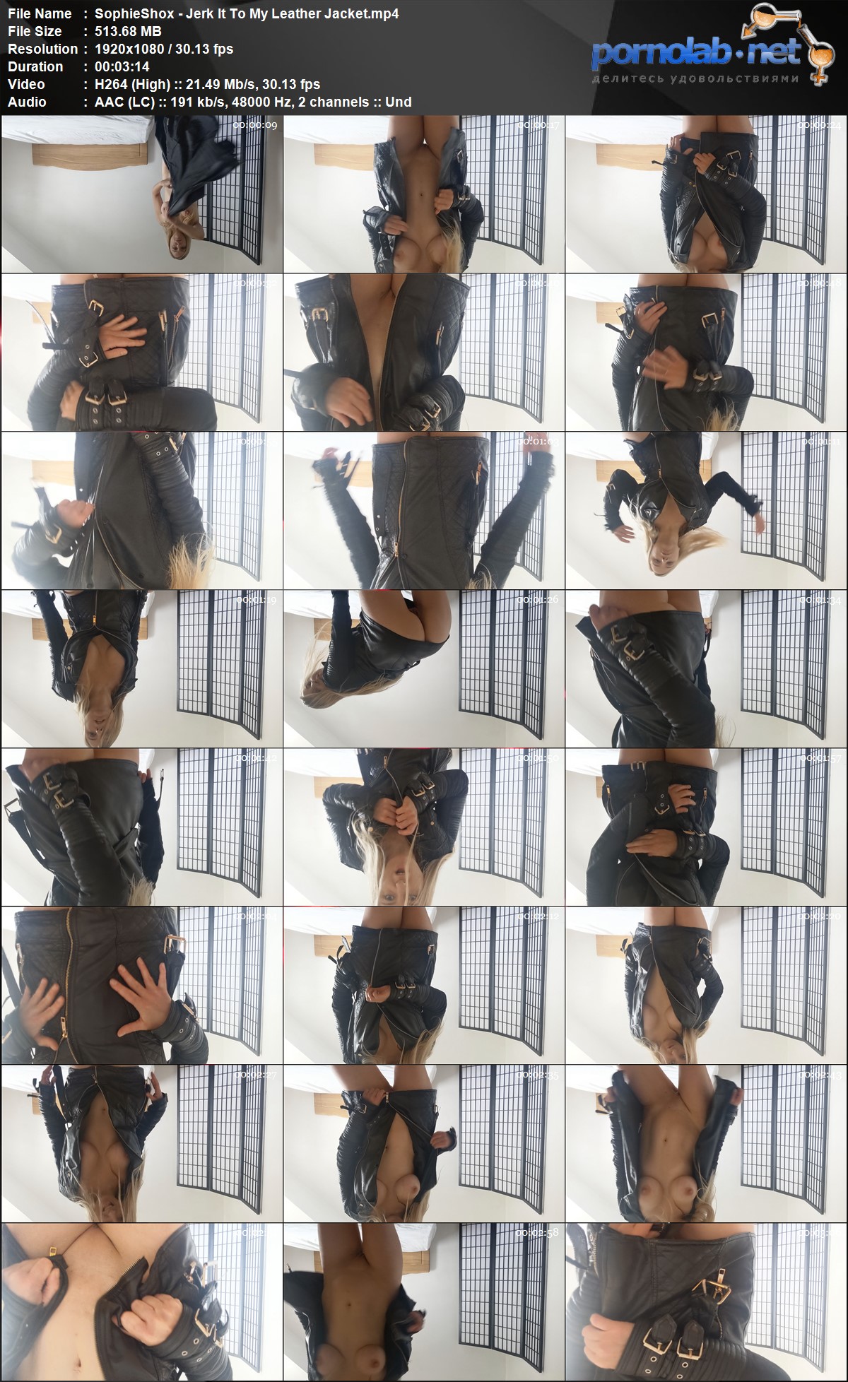 Sophie Shox Jerk It To My Leather Jacket mp 4
