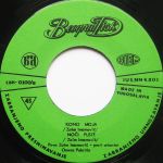 [Slika: 120210051_jpg4.jpg]