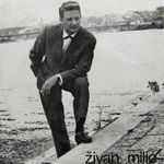 [Slika: 120499026_jpg1.jpg]