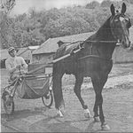 [Slika: 120809122_jpg5.jpg]