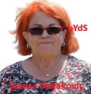 [Slika: 119543329_cover.jpg]