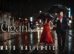 [Slika: 120141257_Maid.jpg]