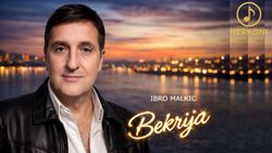 [Slika: 121870574_Ibro.jpg]