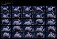 Free Image Hosting