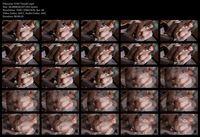 Free Image Hosting