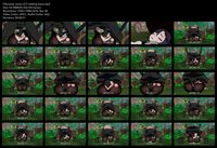 Free Image Hosting