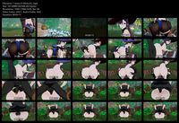 Free Image Hosting