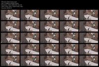Free Image Hosting