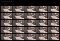 Free Image Hosting