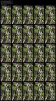 Free Image Hosting