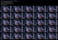 Free Image Hosting