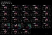 Free Image Hosting