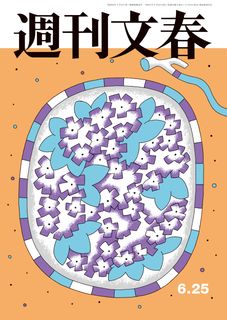 週刊文春 2017年12月28日号 [Shukam Bunshun 2017-12-28]