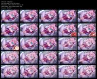 Free Image Hosting