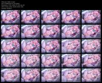 Free Image Hosting