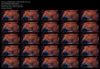 Free Image Hosting