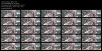 Free Image Hosting