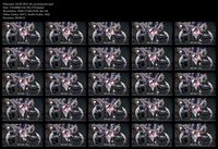 Free Image Hosting