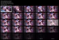Free Image Hosting