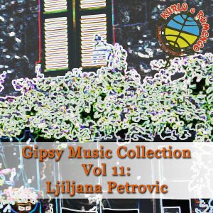 Gipsy Music Collection  67776716_FRONT