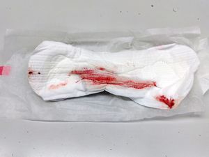 Menstruation vol. 81 07ownwgtol