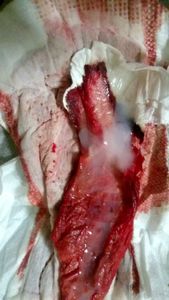 Menstruation vol. 81 c7owoacnf6