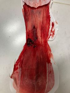Menstruation vol. 81 77owod9tqd