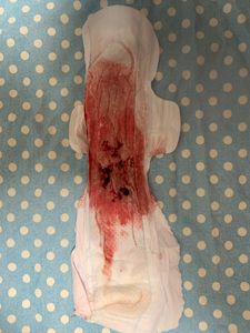 Menstruation vol. 81 v7owodnerp