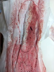 Menstruation vol. 81 y7owohqwpb