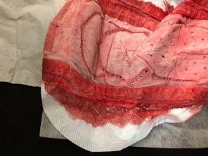 Menstruation vol. 81 j7owo12egl